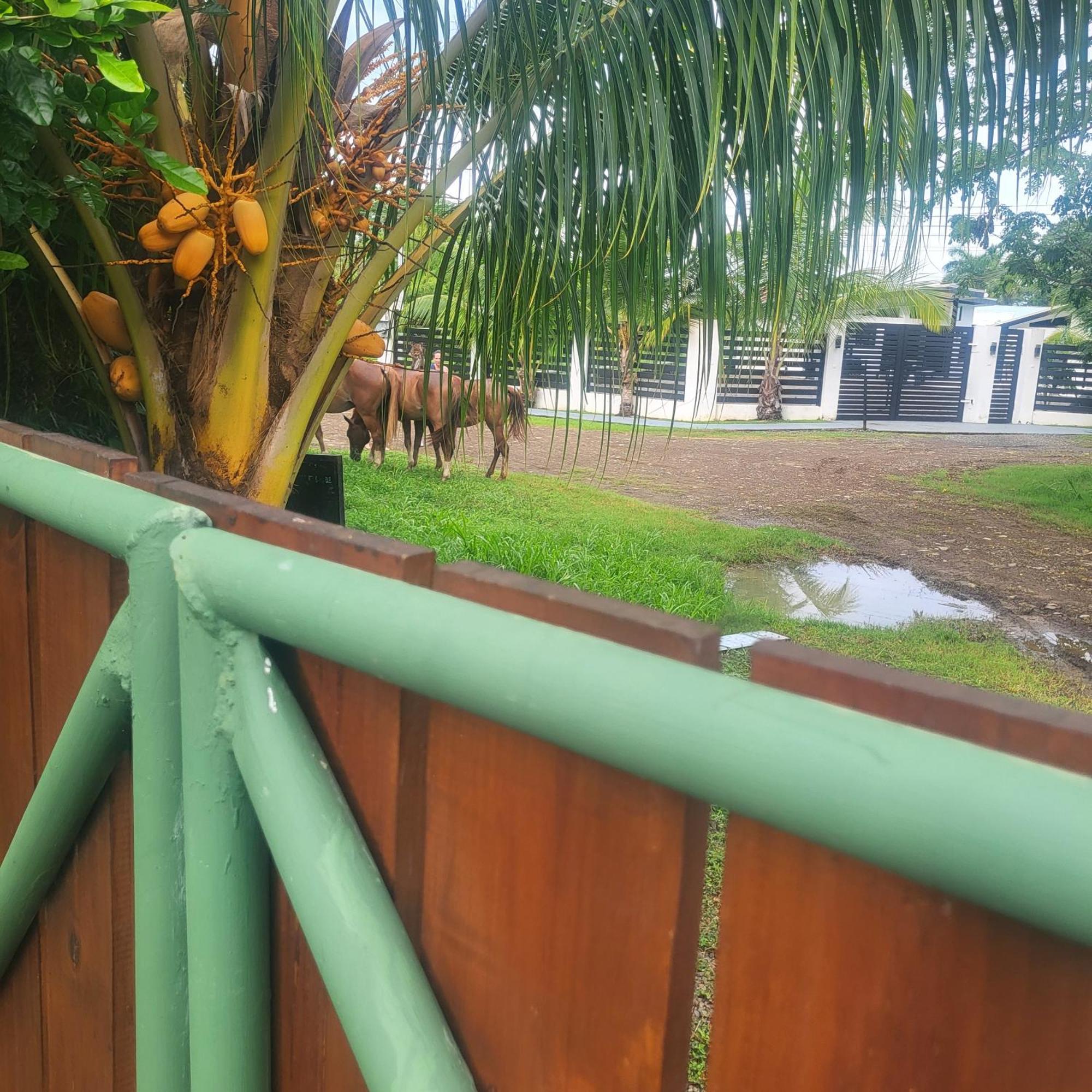 Madre Terra Bed & Breakfast Uvita Exterior foto