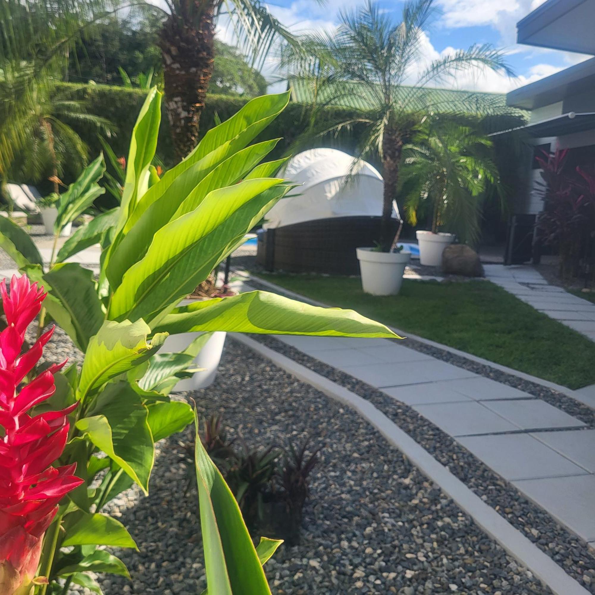 Madre Terra Bed & Breakfast Uvita Exterior foto