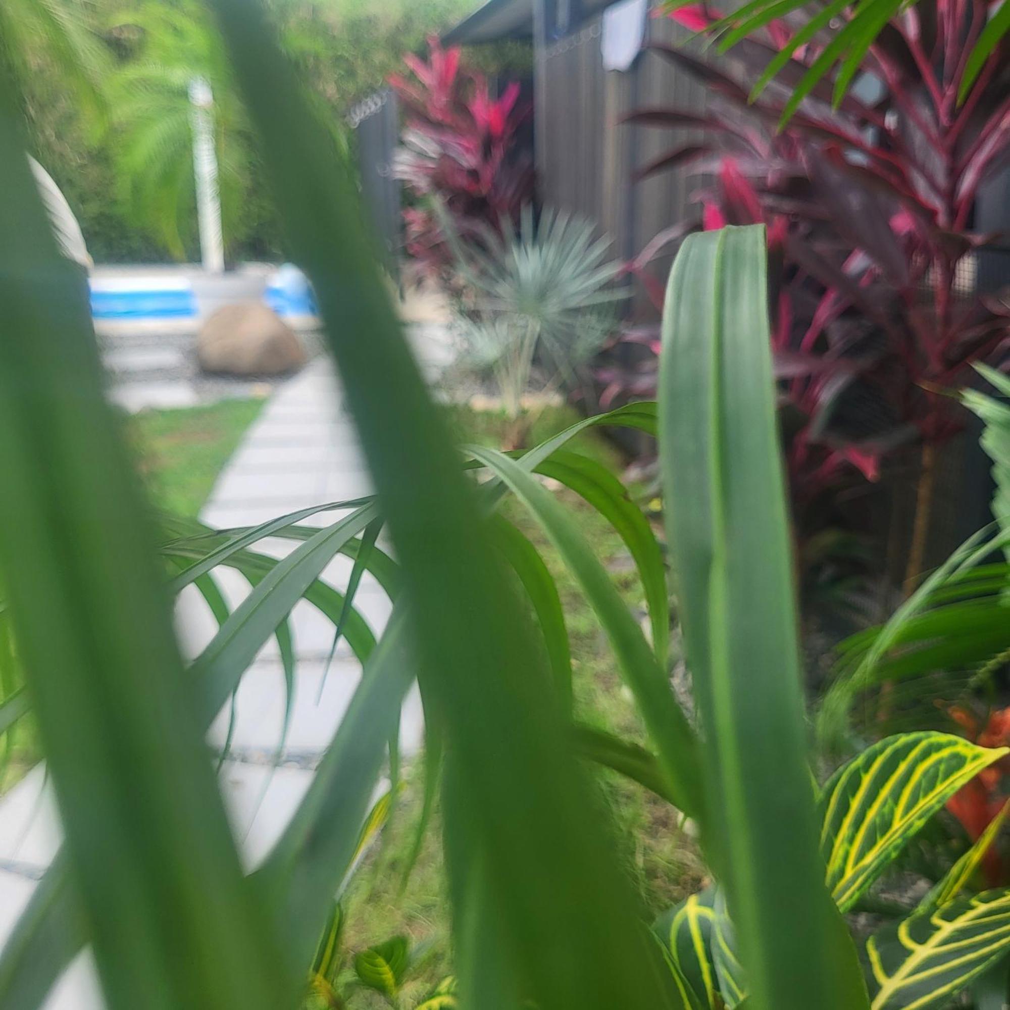 Madre Terra Bed & Breakfast Uvita Exterior foto