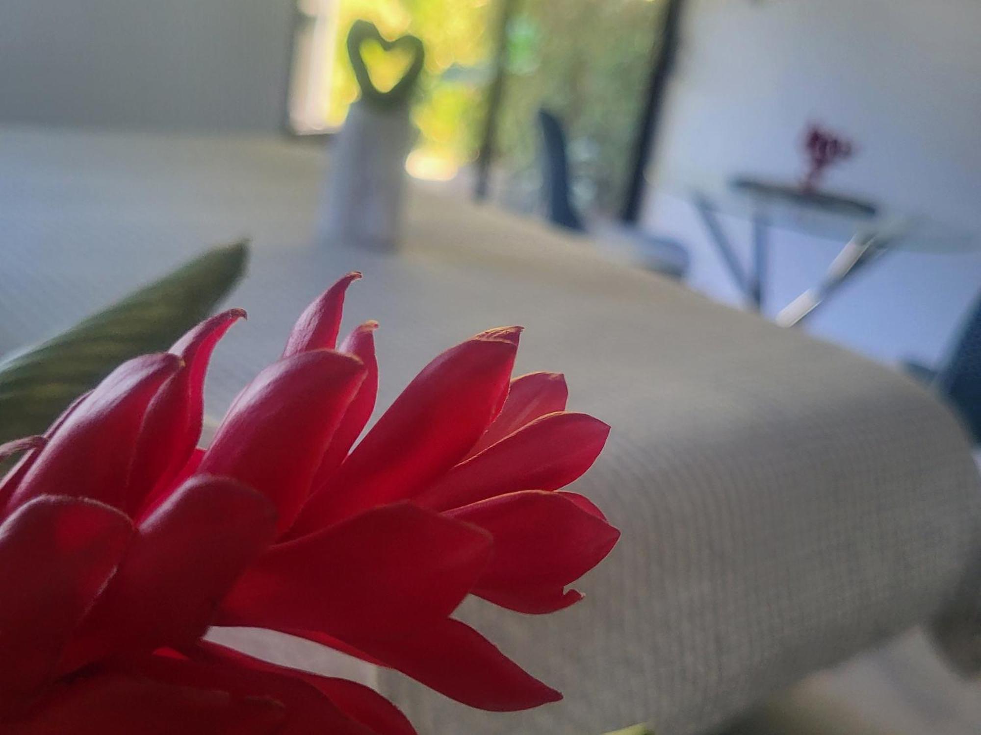 Madre Terra Bed & Breakfast Uvita Exterior foto