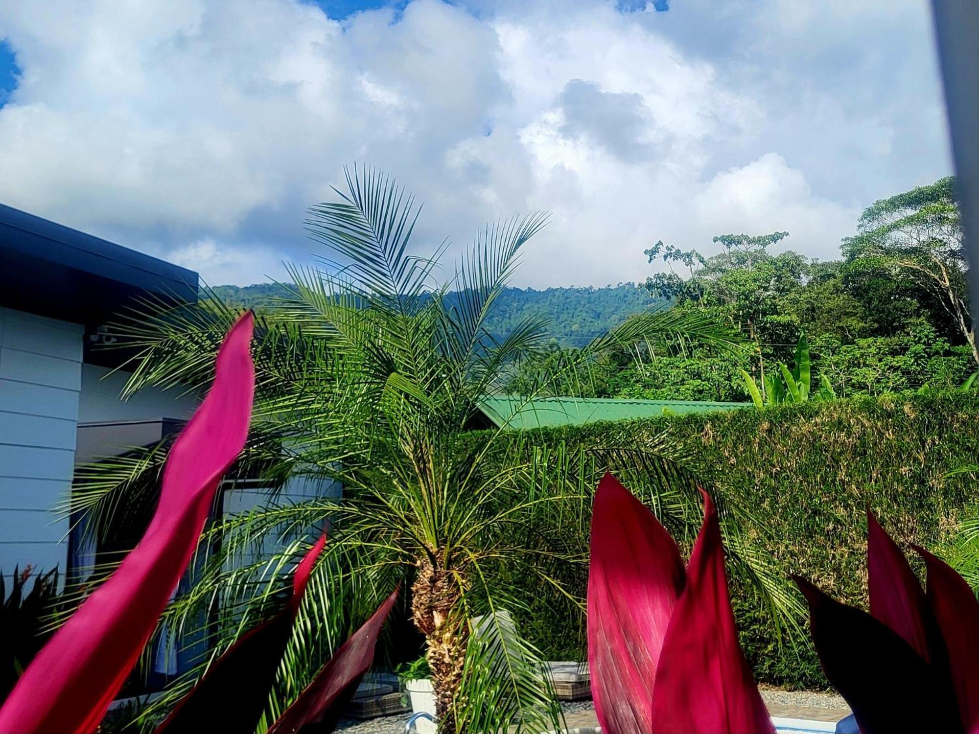 Madre Terra Bed & Breakfast Uvita Exterior foto