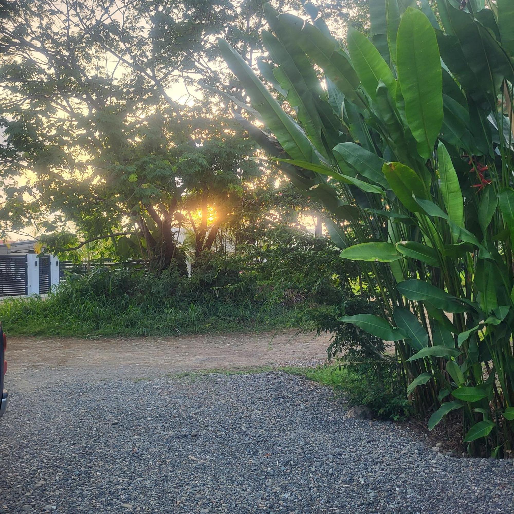 Madre Terra Bed & Breakfast Uvita Exterior foto